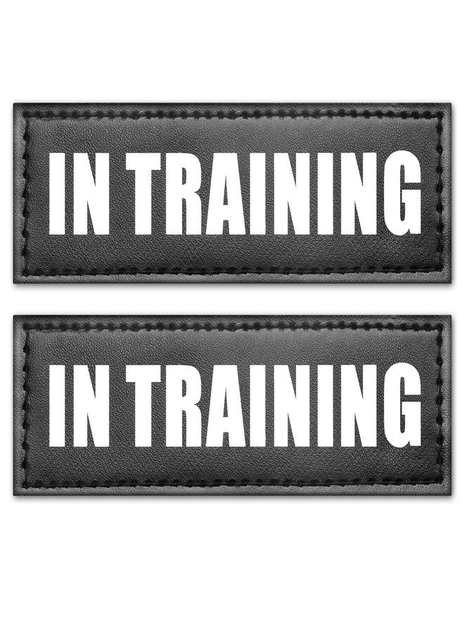 WINSEE Service Dog Patches in Training Patch for Service Vest Dog Harness(2 Pack, M) - Image 1